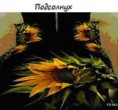 Комплект постельного белья 3Д из шелка "Подсолнух"